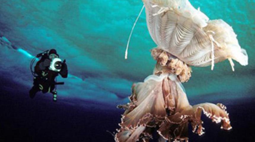 400 saat buz altında kaldı