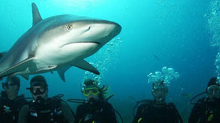 D&uuml;nyanın en tehlikeli 7 tatili