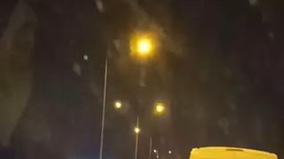 Bursa’da domuz sürüsü ana yola atladı! Sürücüler büyük şok yaşadı