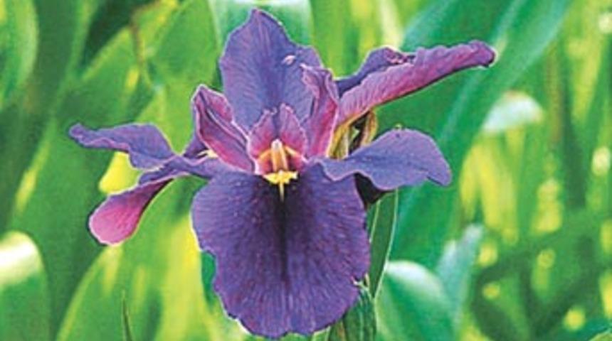 T&uuml;rkiye bu ota savaş a&ccedil;tı