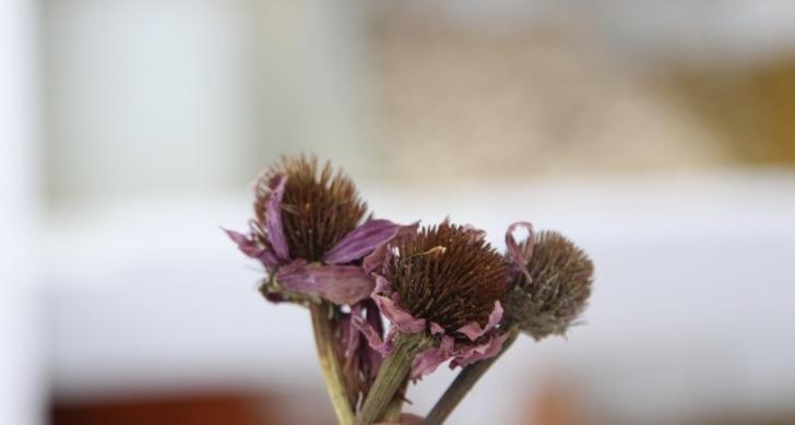 Balla karıştırınca etkisi kat kat artıyor! Virüslerle savaşıyor... Her eve girmeye başladı, yok satıyor G4