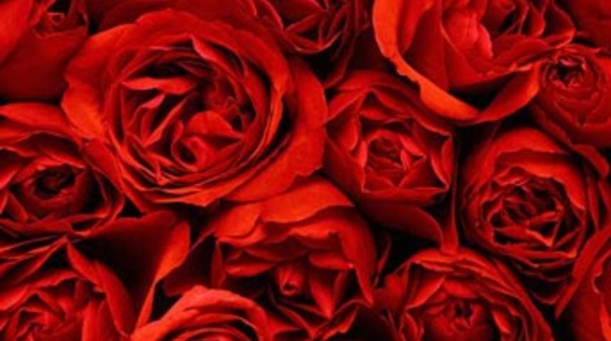 Kanser d&uuml;şmanı: G&uuml;l