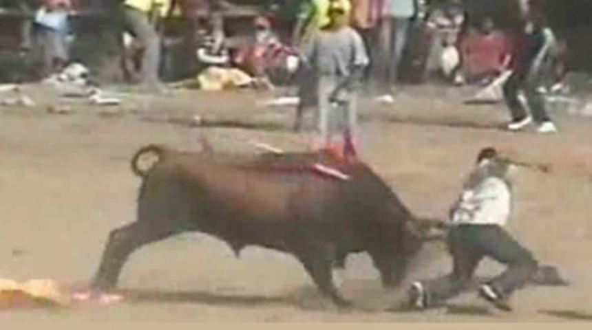 Bu kez boğa kazandı