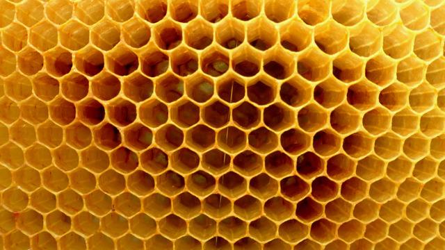 Tripofobi (delik fobisi) nedir? Tripofobi olduğumu nasıl anlarım?