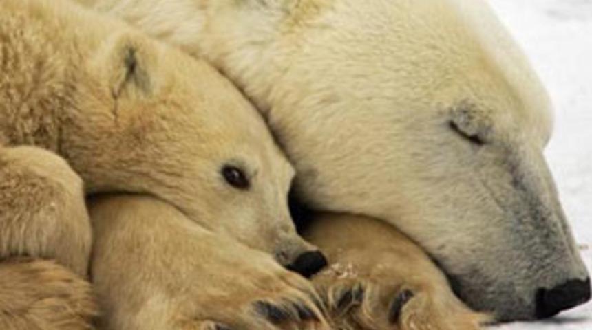 Yery&uuml;z&uuml;nden silinecekler!