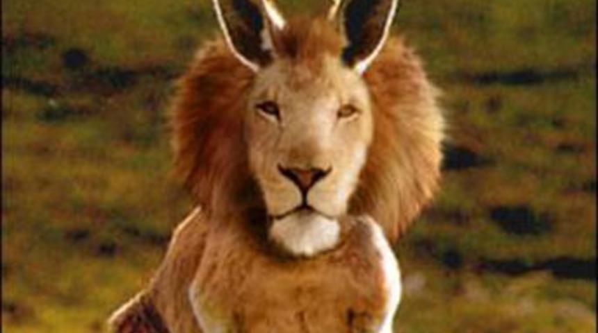 Yaratıcılığını göster