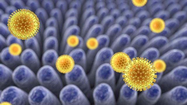 Rota virüsü nedir? Rota virüsü belirtileri ve tedavisi