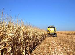 Bakan Yumaklı duyurdu! Çiftçilerin 3,5 milyar liralık tarımsal destekleme ödemesi yapıldı
