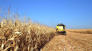 Bakan Yumaklı duyurdu! Çiftçilerin 3,5 milyar liralık tarımsal destekleme ödemesi yapıldı