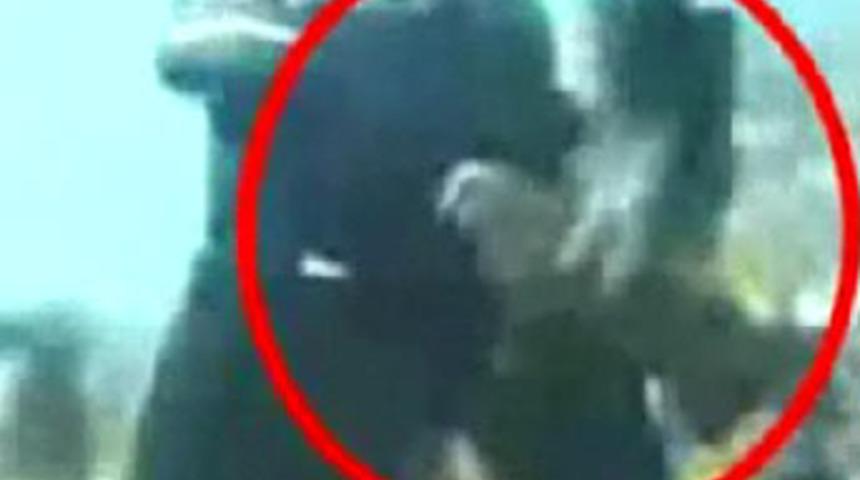 K&ouml;pek balığı popusuna saldırdı