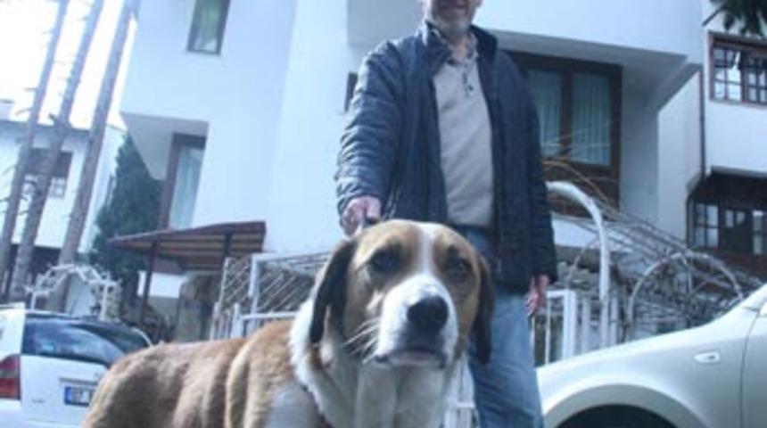 'O' k&ouml;pek şimdi villada yaşıyor