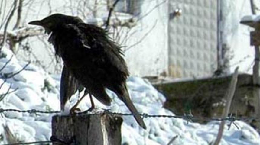 Konduğu &ccedil;itin &uuml;zerinde dondu