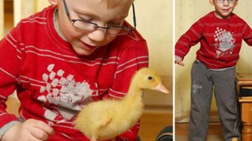 &Ouml;rdeğin mucizesi