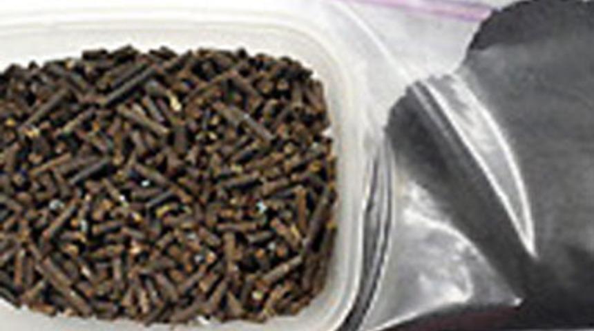 Japonlar'dan doğayı kurtaracak buluş