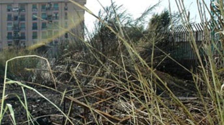 "Kemik koleksiyoncusu" filmi ger&ccedil;ek oldu