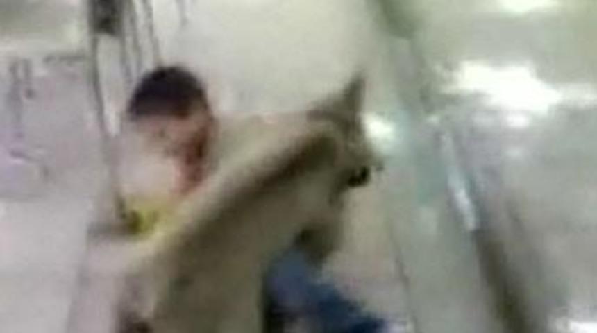 Yavru ayı rakibini b&ouml;yle tuş etti