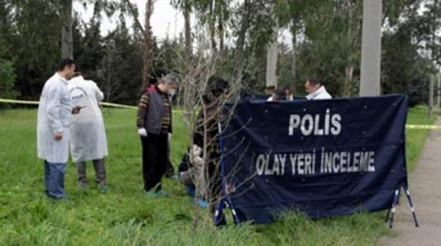 &Uuml;niversitede ceset