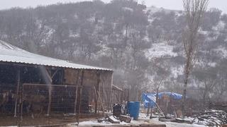 Uyarıların ardından... Edirne’de kar yağışı başladı! Şükür kavuşturana diyorum