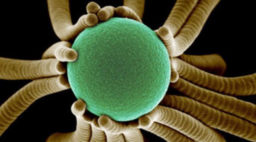 Bilim ve sanat birleşince