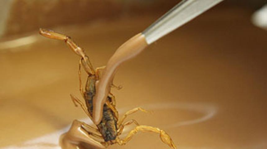 Bunları yemek cesaret ister