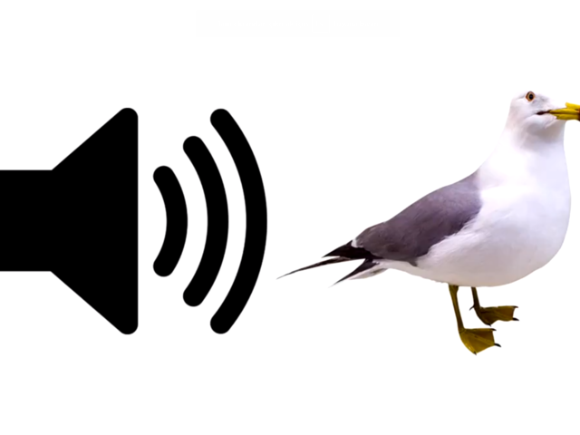 Beşiktaş'ı 4-0 mağlup eden Pendikspor'dan maç sonu olay paylaşım!