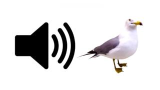 Beşiktaş'ı 4-0 mağlup eden Pendikspor'dan maç sonu olay paylaşım!