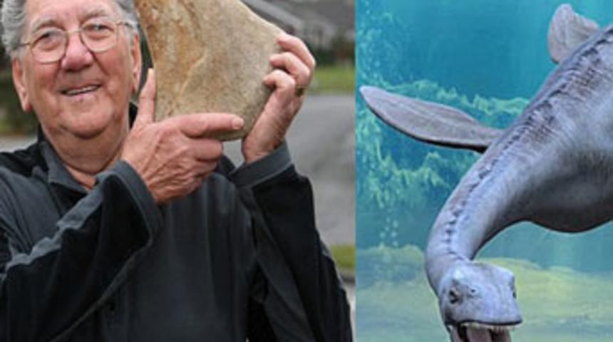 Tuhaf g&ouml;r&uuml;n&uuml;ml&uuml; 'kaya' dinozor &ccedil;ıktı