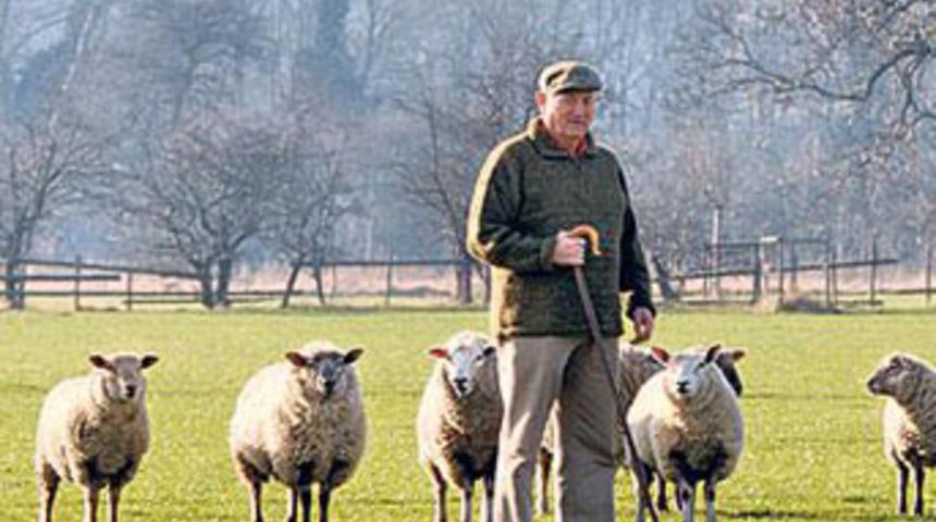 Koyun katliamında uzaylı ş&uuml;phesi