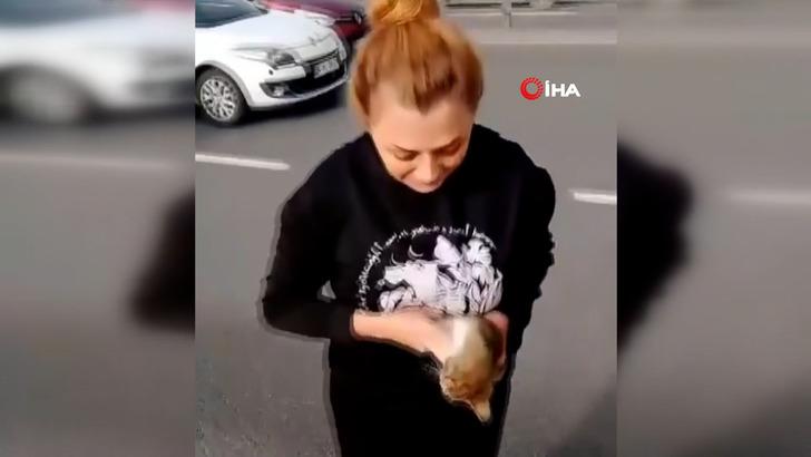 Takdir toplayan hareket! Unkapanı Köprüsü'nde yoldan geçen araçları durdurup kediyi kurtardı G3