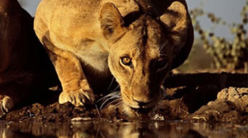 Bu kadar yaklaşmanın BİR BEDELİ VAR!