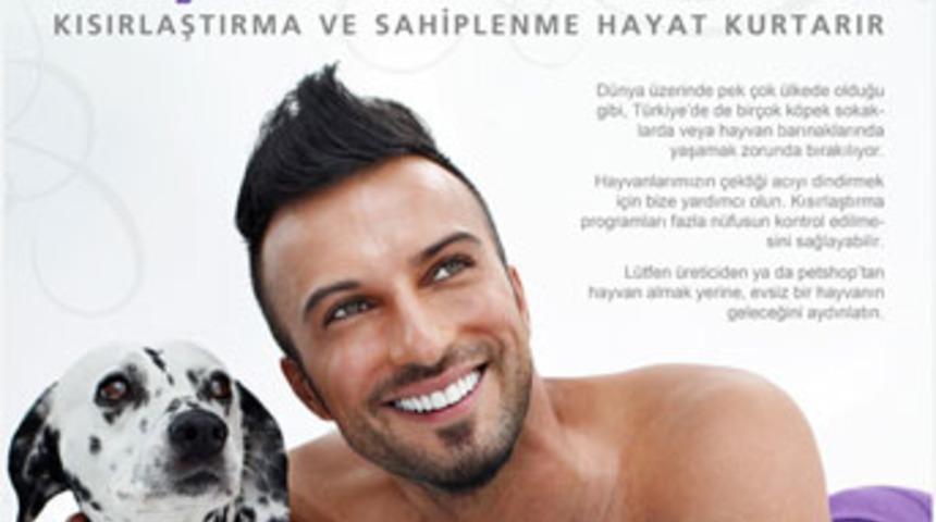 Kısırlaştırmak hayat kurtarır