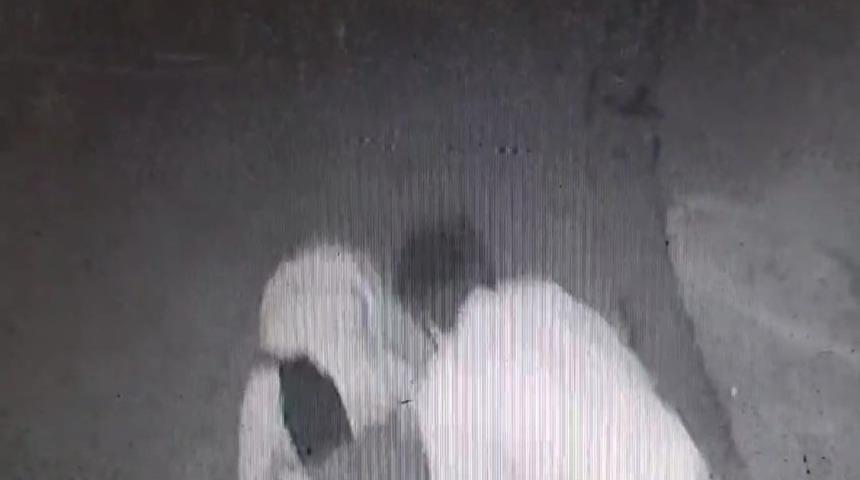 &Ouml;ld&uuml;rmeden &ouml;nce "Sen kafirsin" diye bağırmış