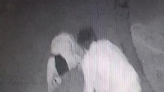 'Sen kafirsin' diye bağırdı sonra bıçaklayarak öldürdü! 