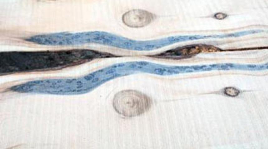 Keresteden 'yılan' &ccedil;ıktı