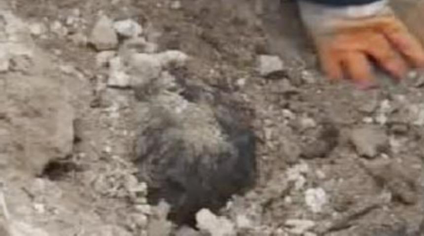 Enkazdan cesetler &ccedil;ıkarılıyor