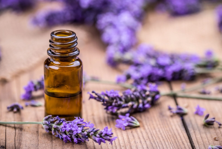 1 damlası geçmeyen baş ağrısını bıçak gibi kesiyor! Ağrı kesicileri çöpe attıracak yöntem: Migrenin doğal ilacı buymuş G4