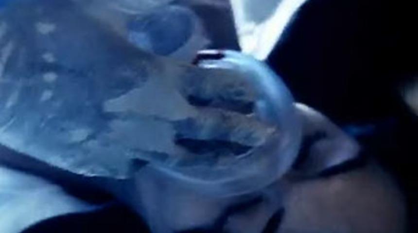 G&ouml;r&uuml;nt&uuml;ler şoke etti!