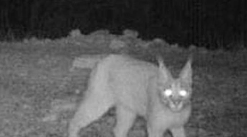 13 yıl sonra g&ouml;r&uuml;nt&uuml;lendi