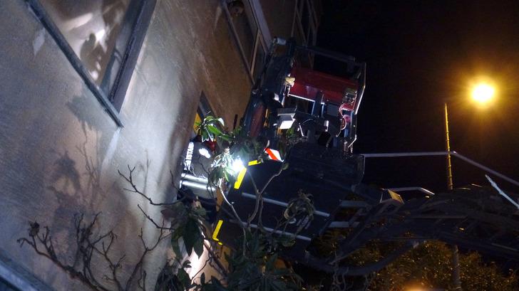 Karış karış aranan çöp evdeki ceset gözden kaçtı! Emekli öğretmen akıllara durgunluk veren dairesinde böyle can vermiş G1