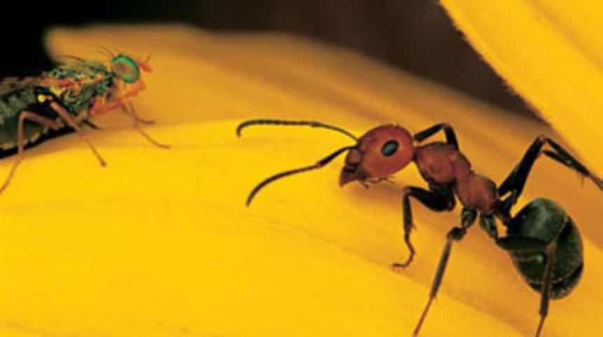 İşte 120 yılın en iyileri