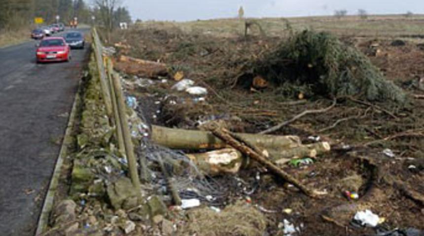 "Sevişmeyi" &ouml;nlemek i&ccedil;in 6 bin ağa&ccedil; kestiler!