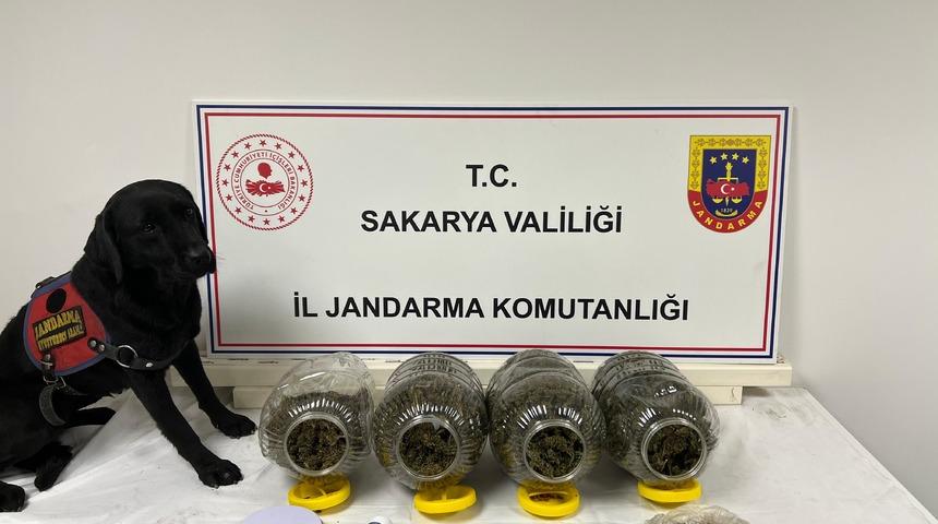 Sakarya'da uyuşturucu operasyonlarında 6 şüpheli yakalandı