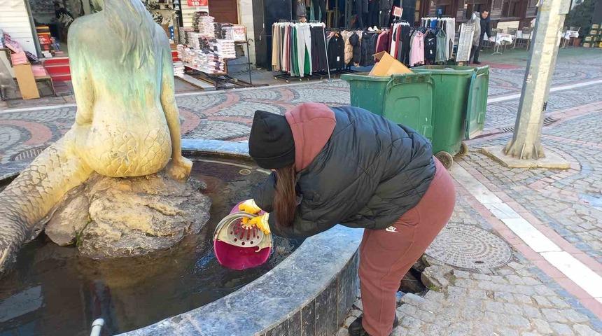 Edirne kuru ayaza teslim oldu, havuzlar dondu