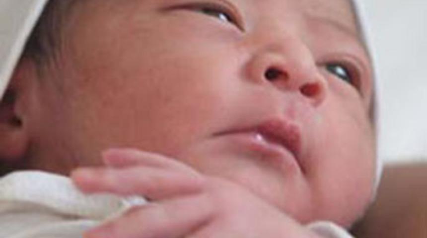 K&uuml;resel ısınma y&uuml;z&uuml;nden intihar ettiler!