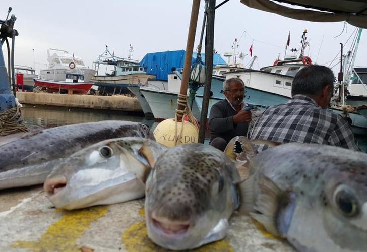 Marmara Denizi için büyük tehdit! Türkiye’nin denizlerine kabus gibi çöktü: ‘Çok kısa bir sürede…’ G5