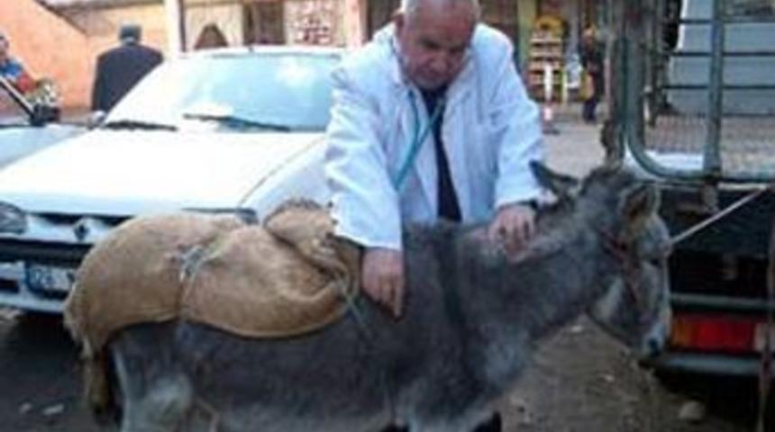 Zavallı eşeğe ne oldu!