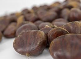 Kestane ithalatı gözetim uygulaması kapsamına alındı