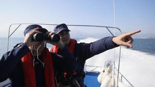 8 kişinin cansız bedeni kıyıya vurmuştu! Antalya sahillerinde ceset devriyesi! Sahil Güvenlik ve polis Kaş'tan Belek'e kadar her yeri arıyor