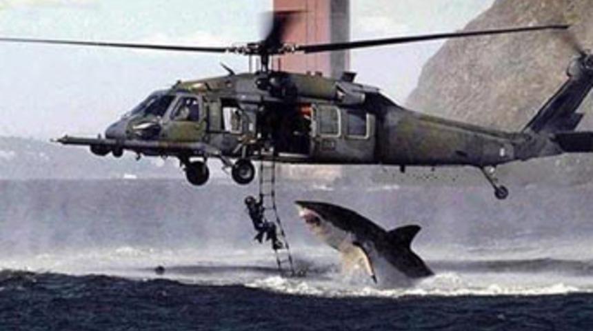 T&uuml;m d&uuml;nyayı kandırdılar