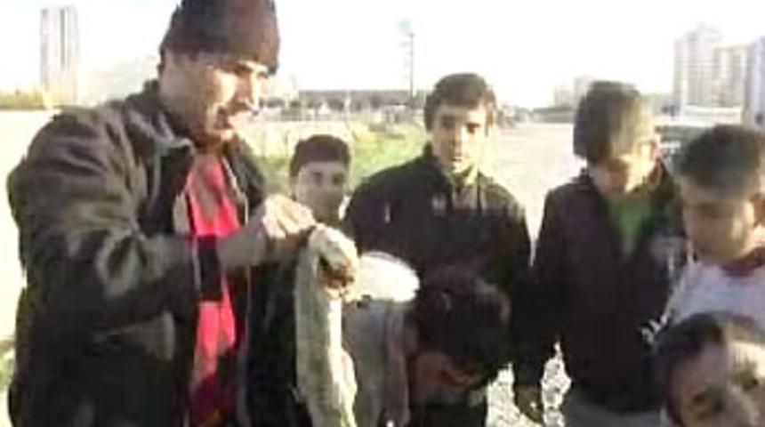 &Ccedil;ocukların piton yalanı!